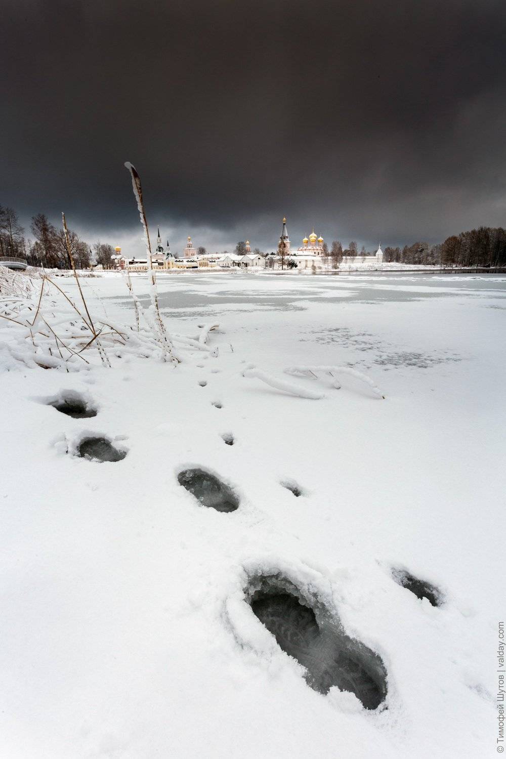 валдай, иверский монастырь, Тимофей Шутов
