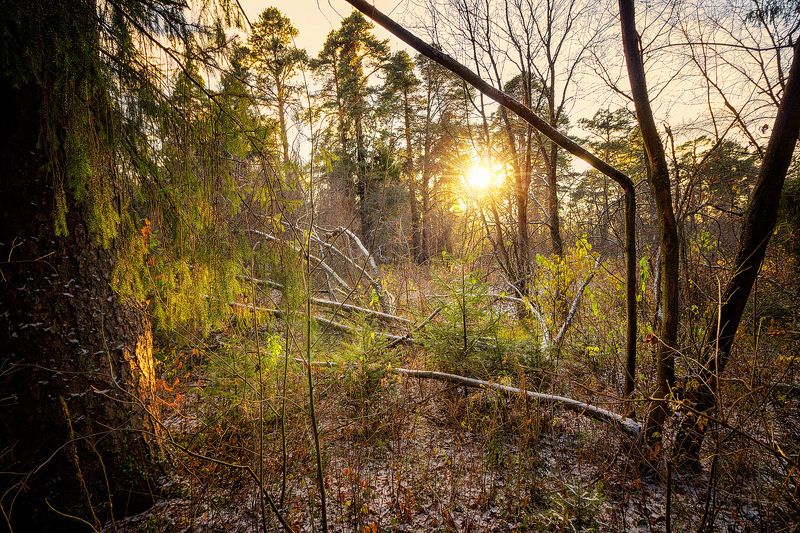 осень, закат, небо, облака, снег Один осенний день семнадцатого... II фото превью