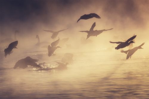 В лучах уходящего солнца