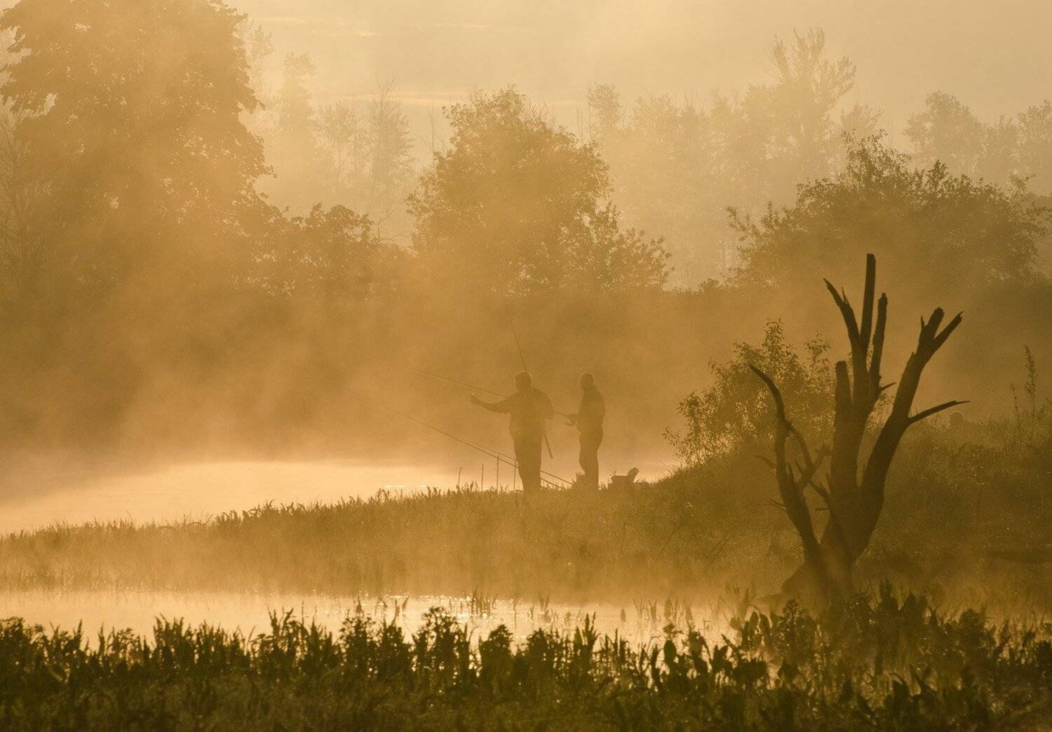 утро туман рыбалка коптево, Михаил Агеев