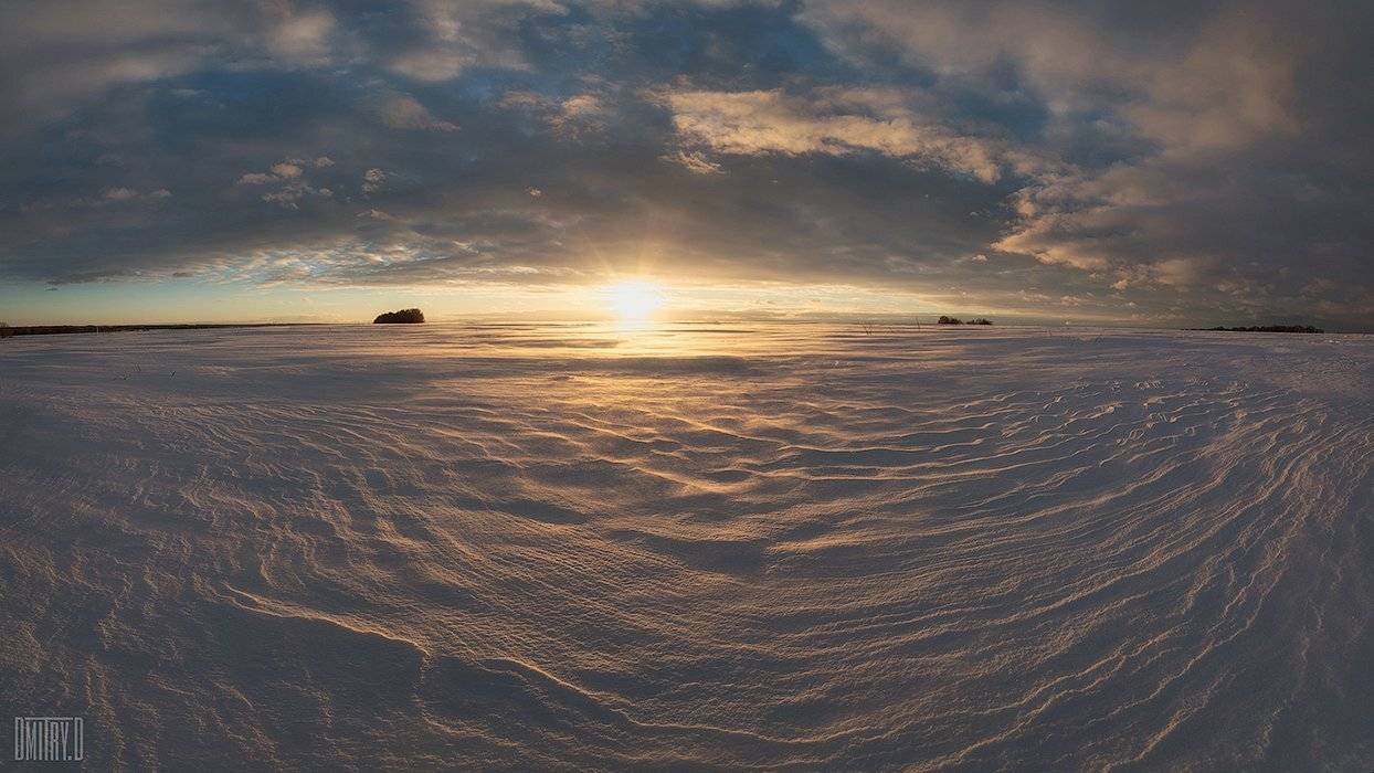 , Дмитрий Доронин