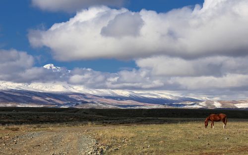 Дорога к ущелью Актру