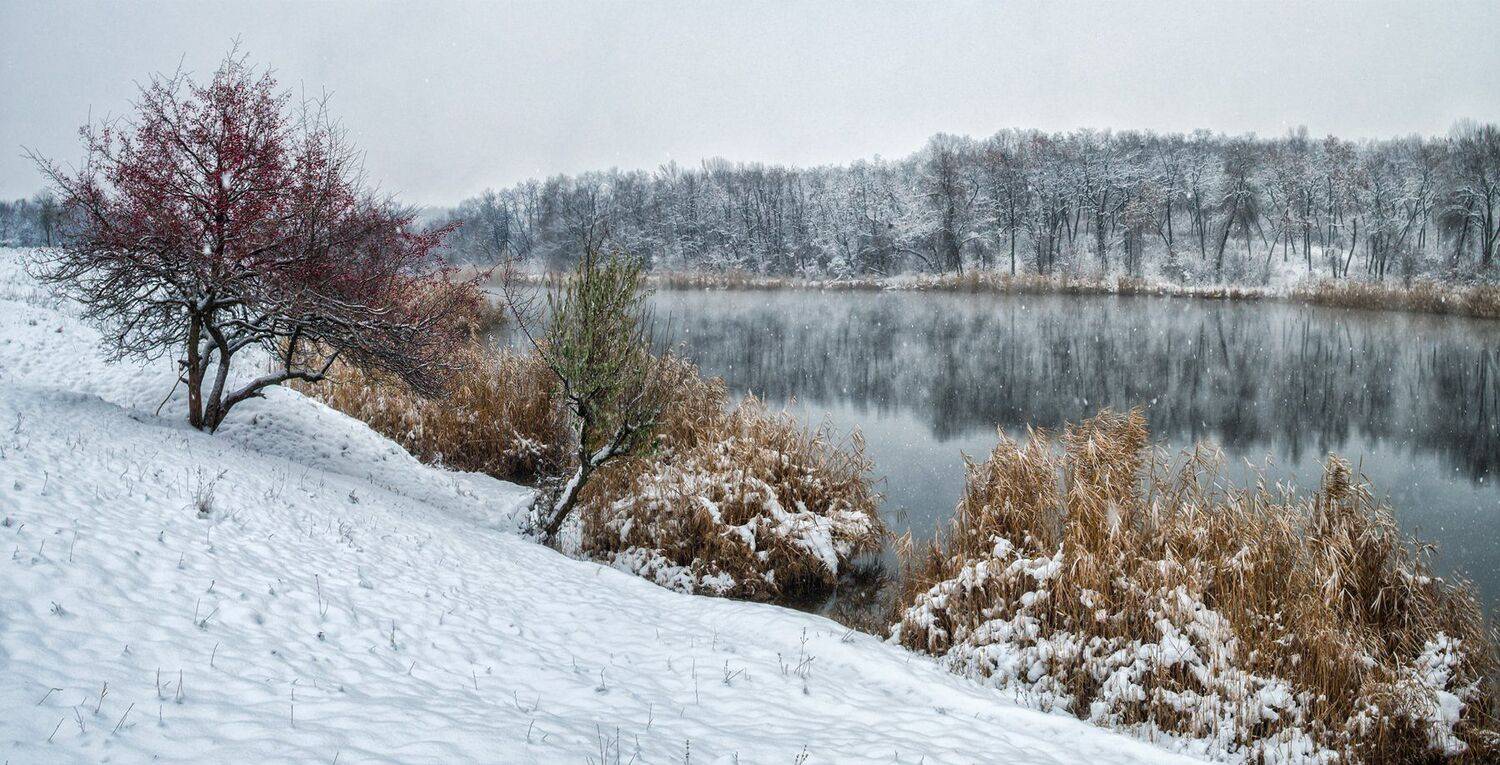 , Игорь Мелекесцев