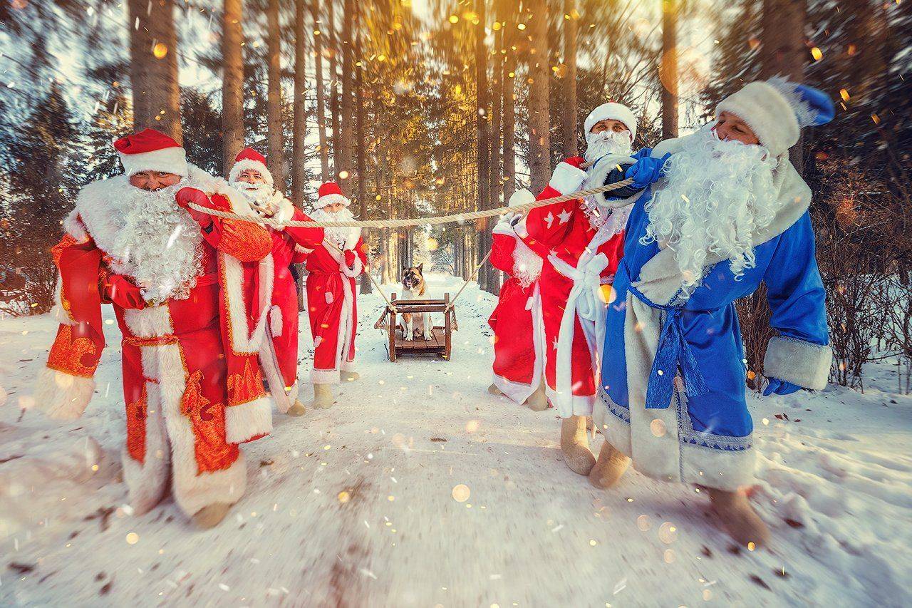 , Осипов Ёжъ Александр