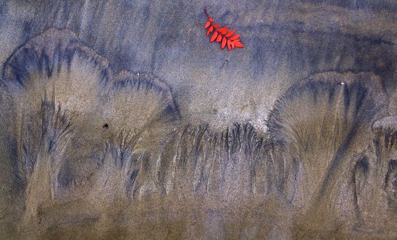 шумел осенний лес фото превью