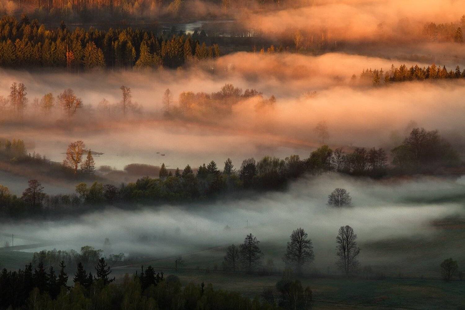 landscape,canon,mist,light,autumn, Iza,Darek
