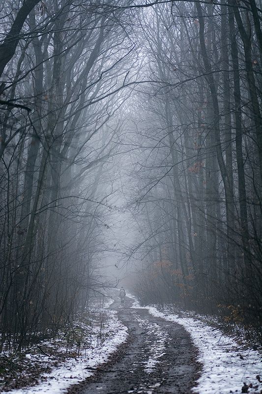 Оттепель фото превью