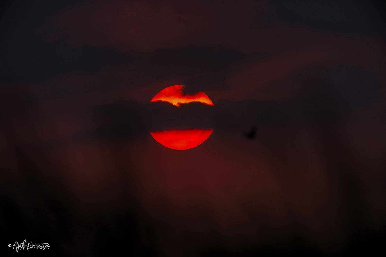 sunset, Ajith Everester