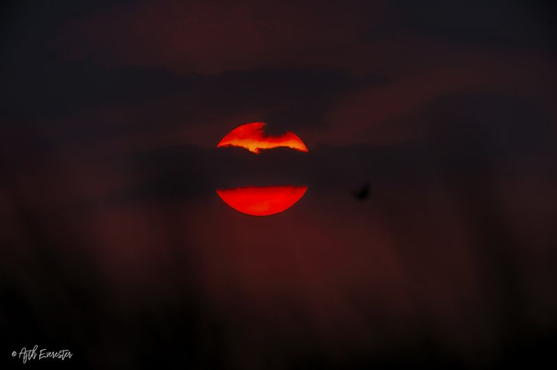 sunset Sunset фото превью