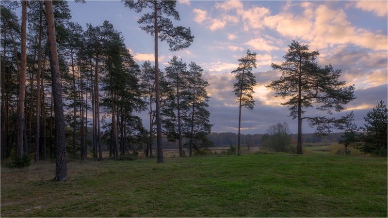 У леса на опушке фото превью