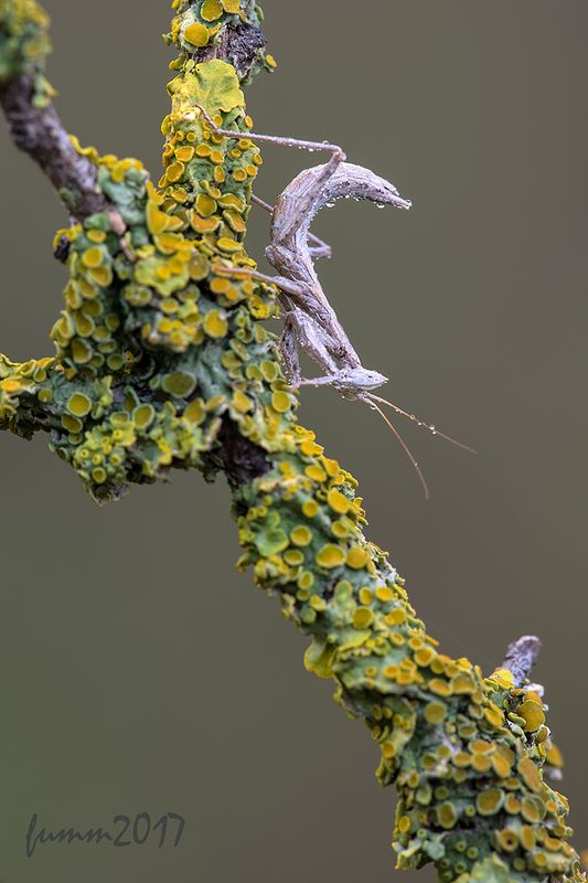 ТАМ, ГДЕ ДЕНЕЖКИ РАСТУТ. фото превью