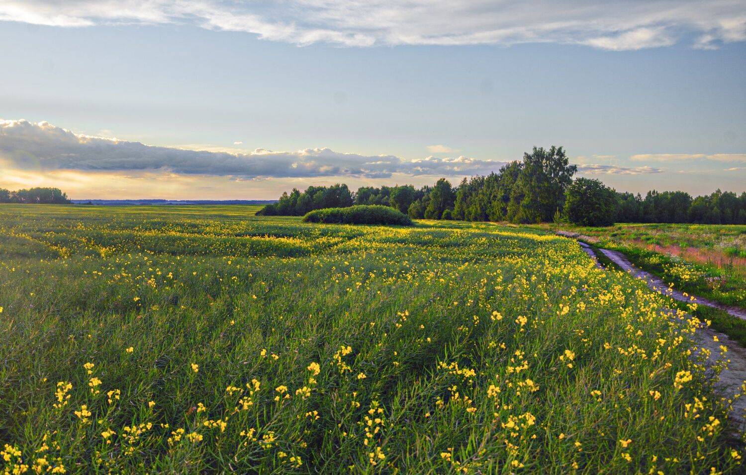, Александр Березуцкий