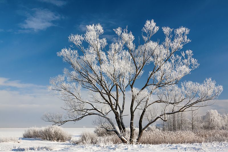 *** фото превью