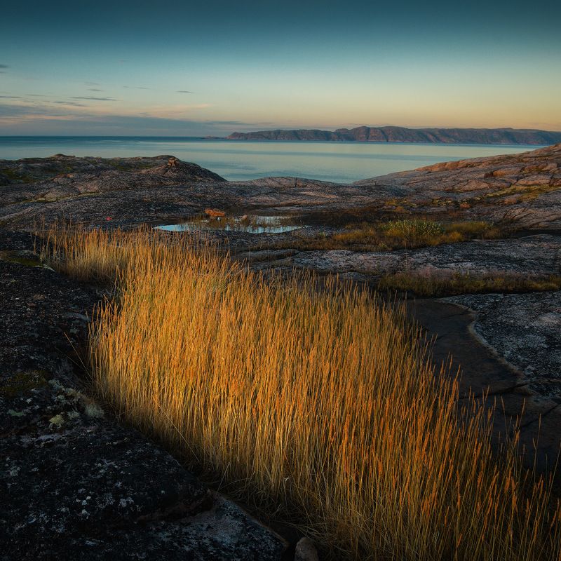 россия, заполярье, мурманская область, кольский полуостров, териберка, баренцево море, закат, сумерки, морской берег, скалы Русский север фото превью