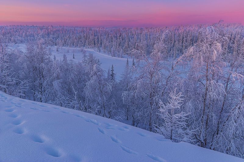 ямал , зима , природа, салехард , декабрь,  ямал ,север \