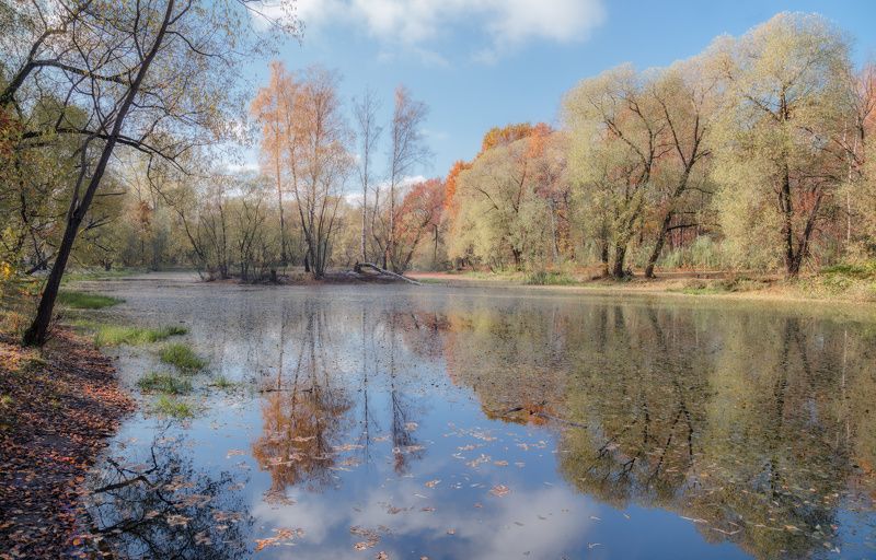 осень, пруд, краски Осенняя акварель фото превью