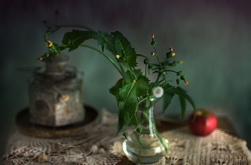 Infocus фото превью