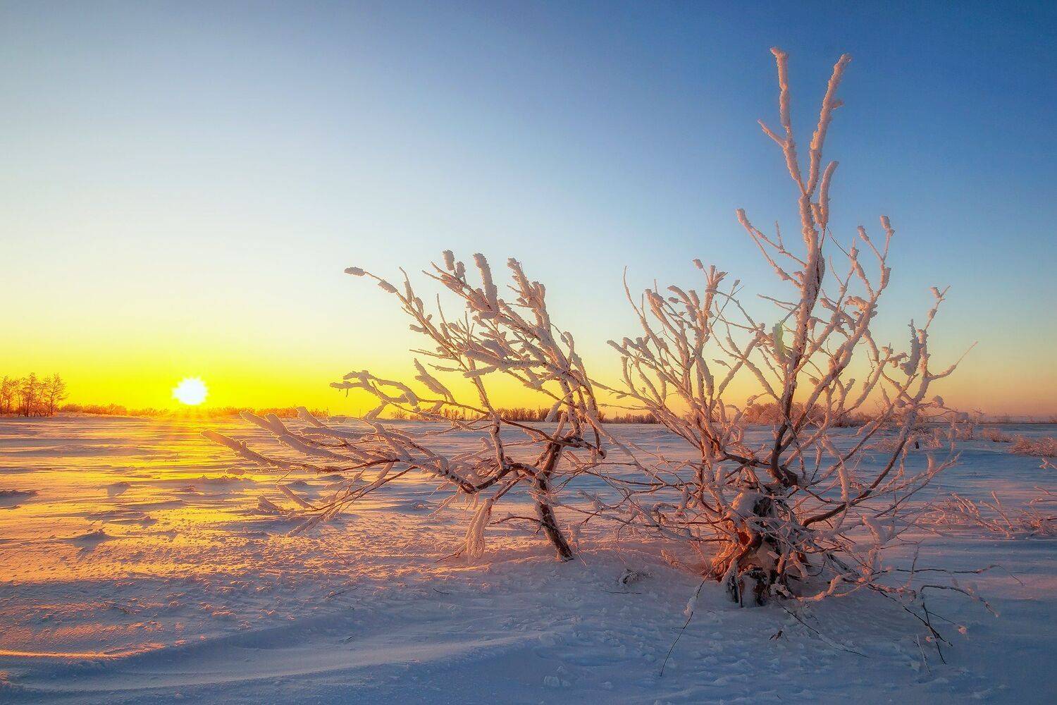 , Павел Сагайдак