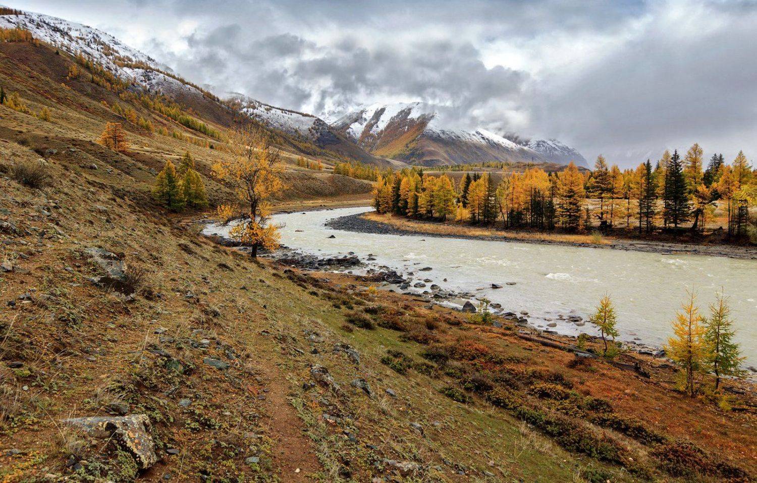 , Дмитрий Д.