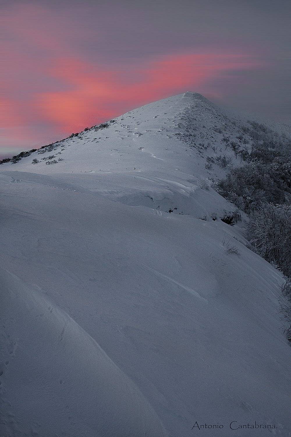 , Antonio Cantabrana