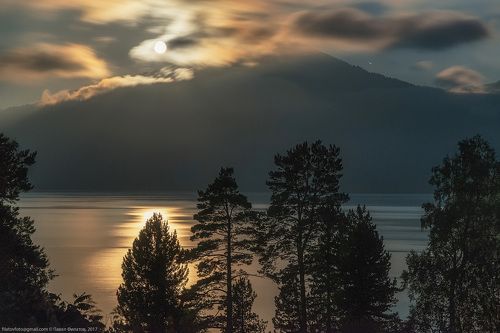 Волшебная ночь