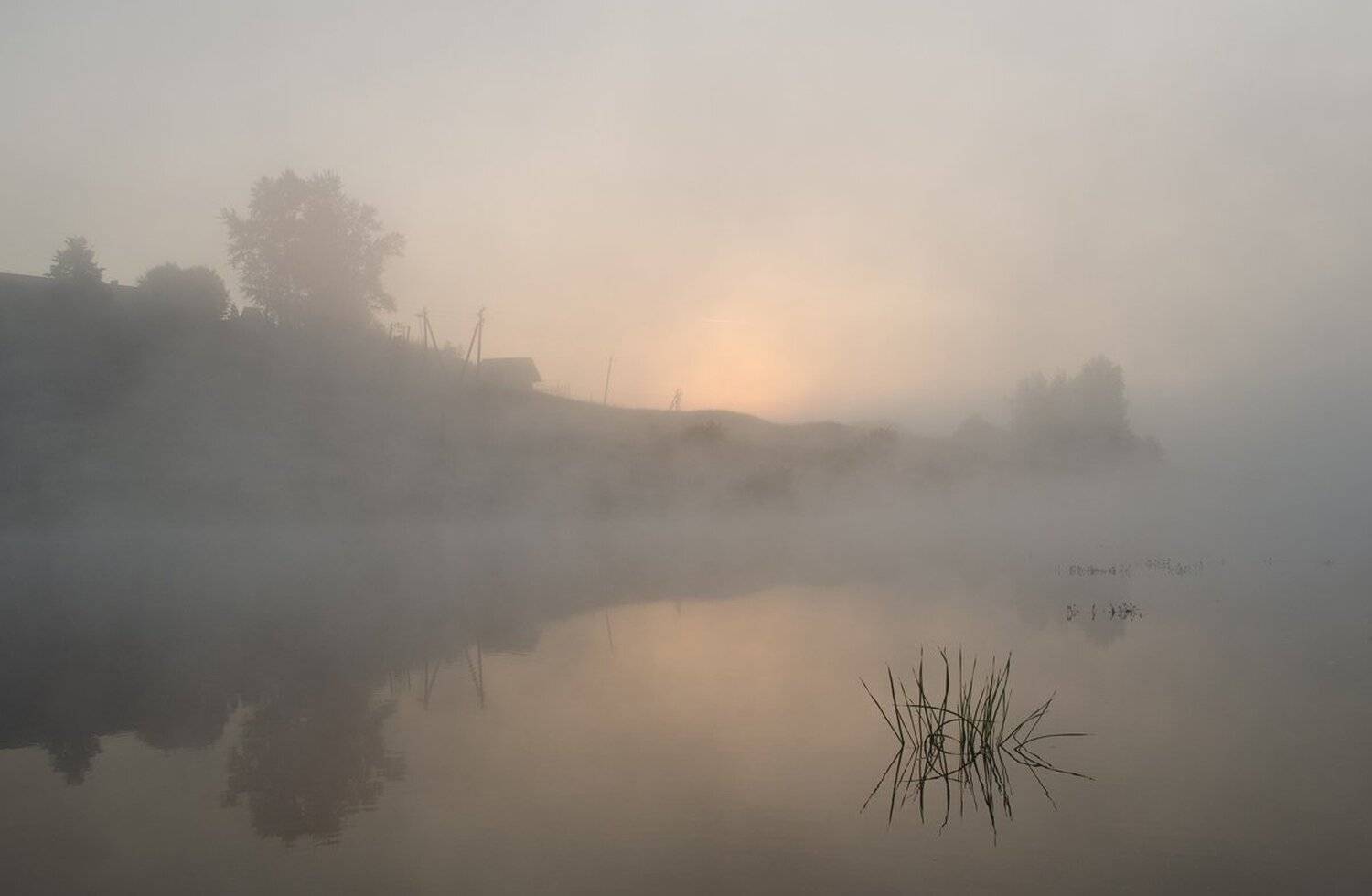 пейзаж туман архангельское, Михаил Агеев