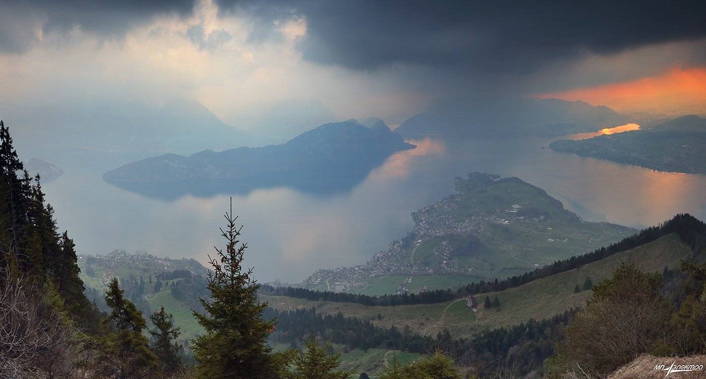 swiss, Матвеев Николай