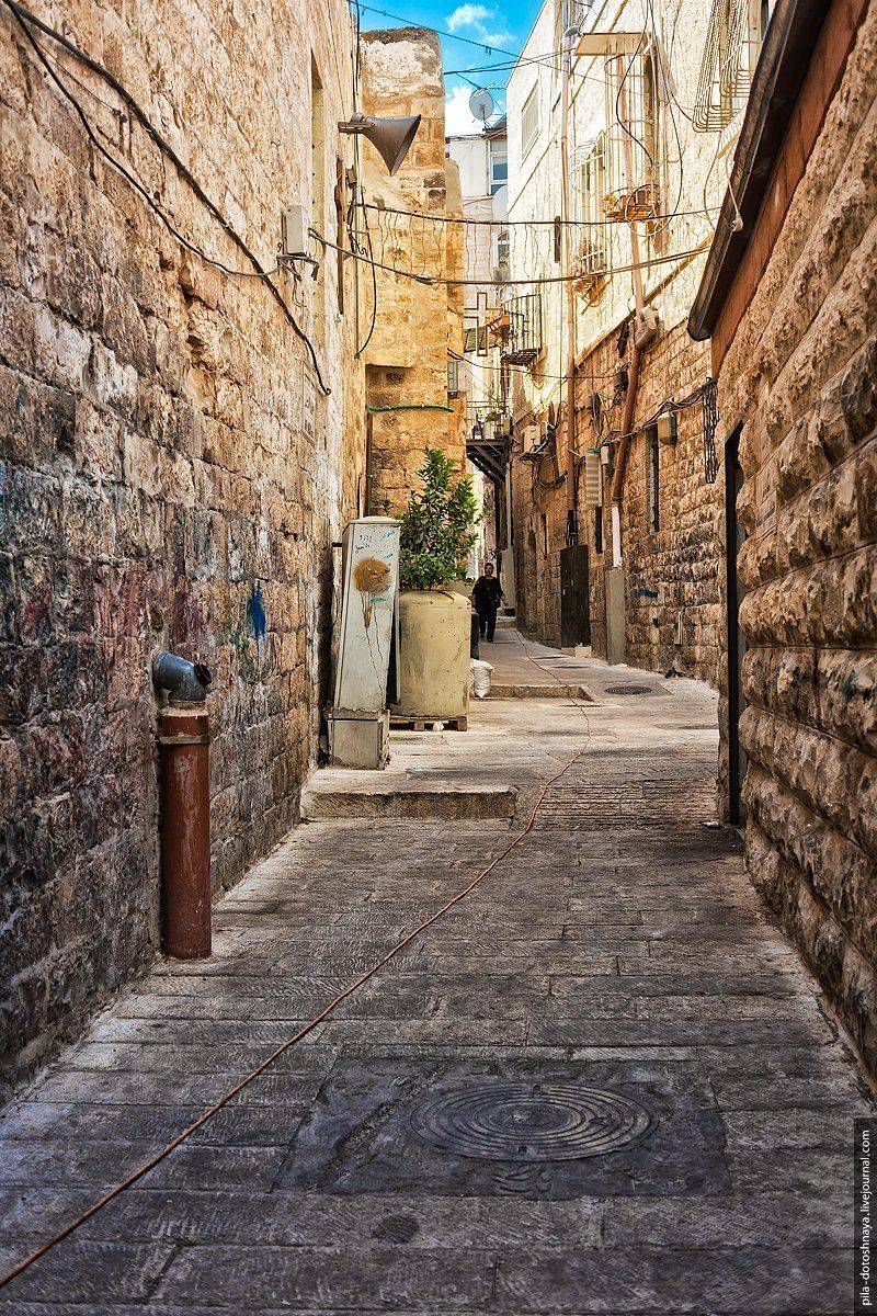 , Анна Аринова