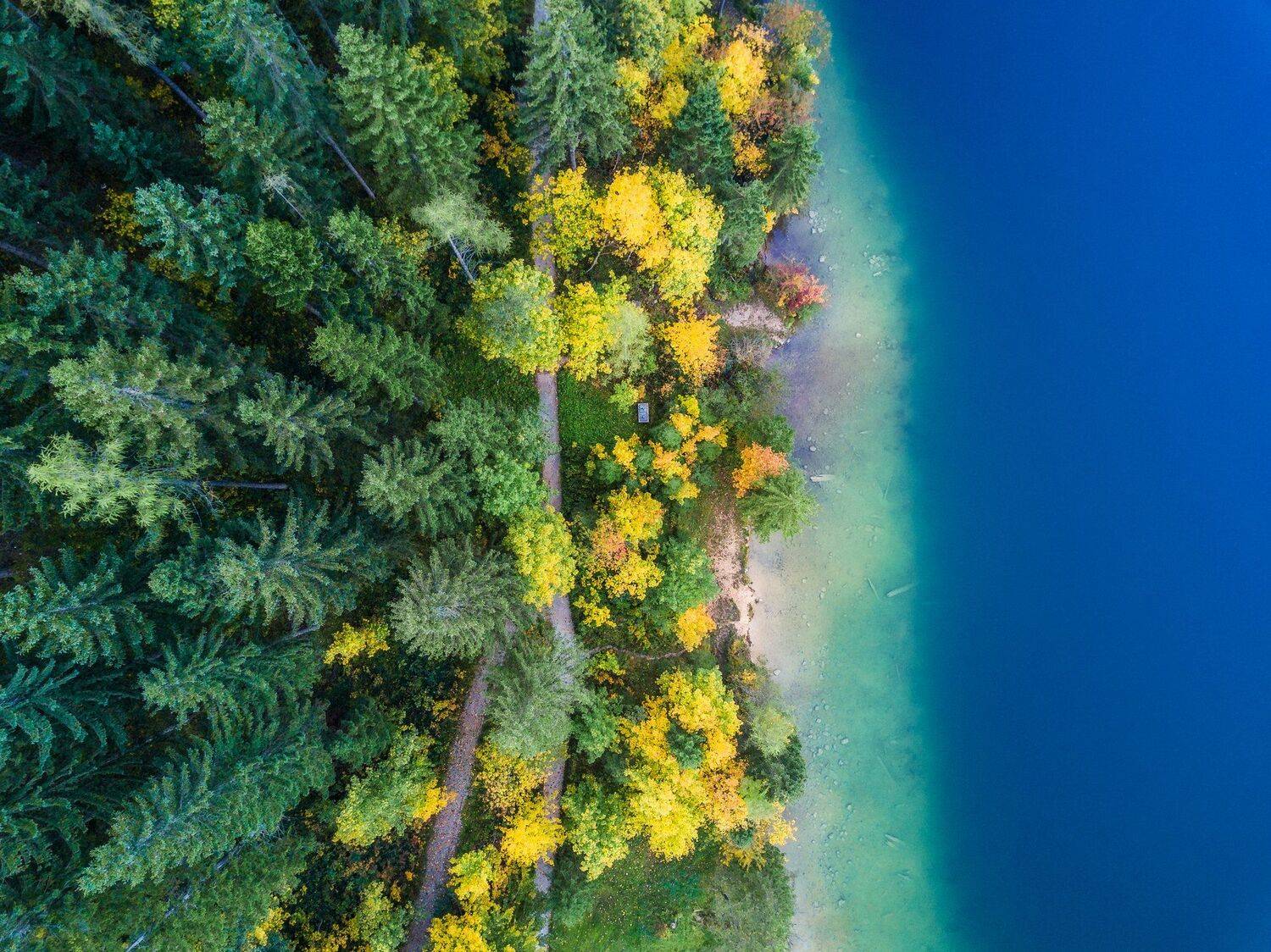 австрия, квадрокоптер, дрон, осень, озеро, austria, aerial, drone, autumn, forest, deep, green, yellow, Василий Яковлев