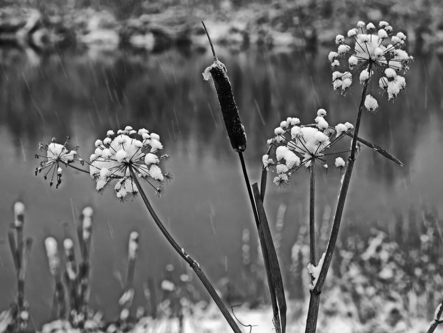 , Валерий Кондратов