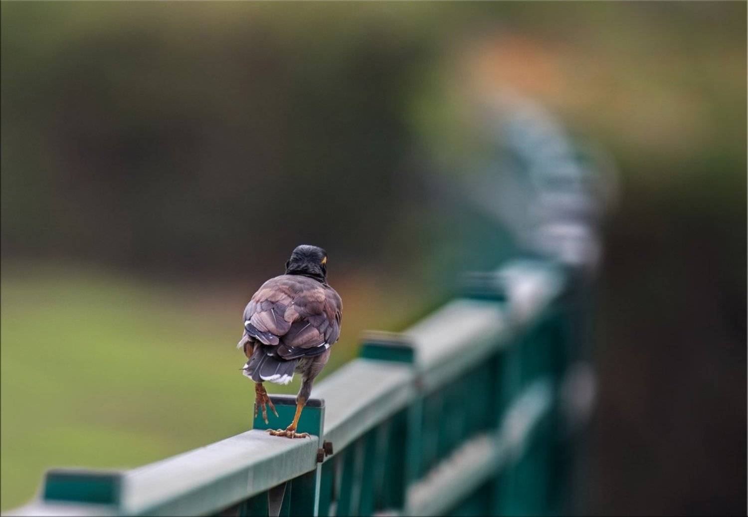 , Людмила Бекман