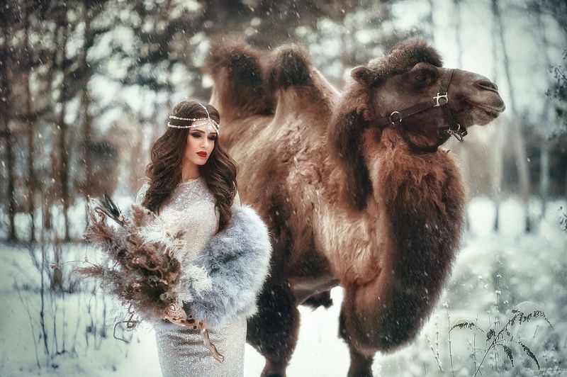 Восточная сказка фото превью