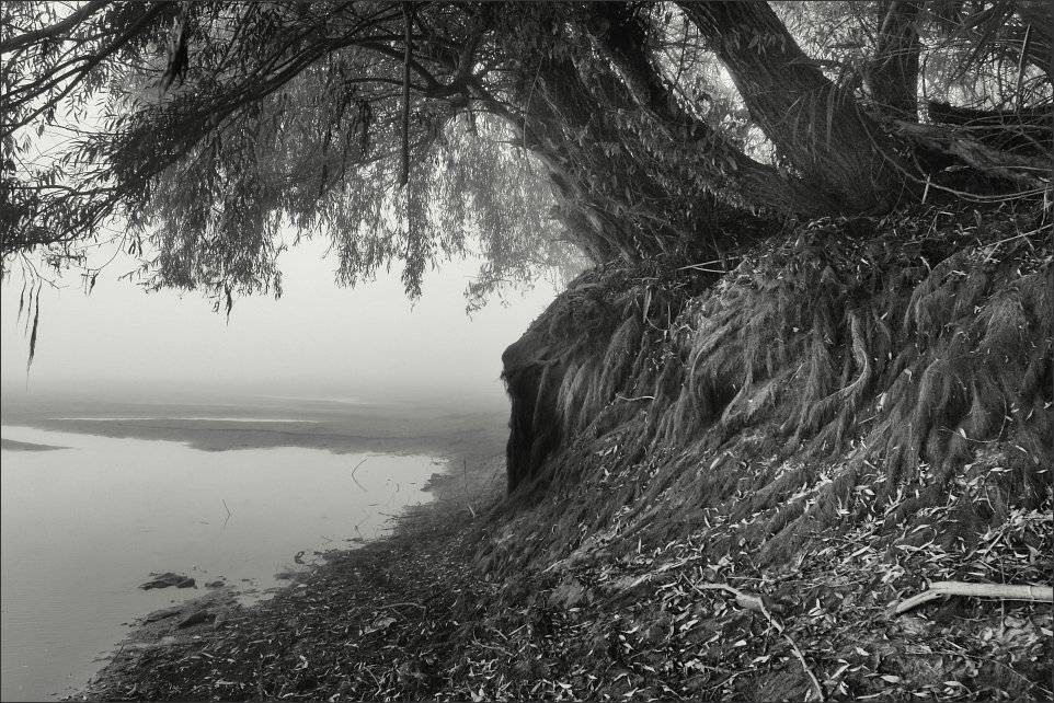 , Сергей Фудиненко