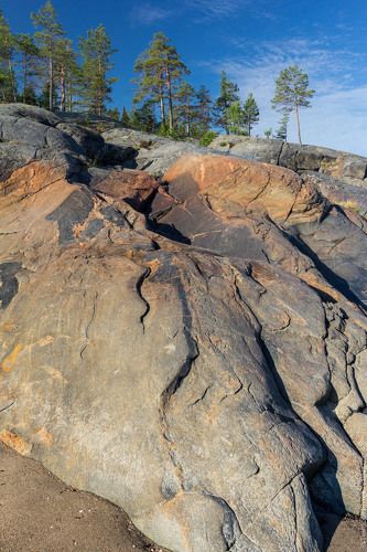 Бараний лоб