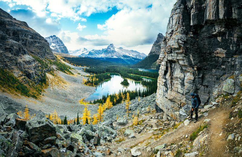 canada ,british columbia, bc ,yoho ,yoho national park ,larch season ,lake o\\\'hara ,amazing nature, explore canada, canadain, mountain peak, panorama, autumn in canada ,rockie mountains, canadian rockies ,parks canada ,canadian photography, wild places ,a The reflection of the sky фото превью