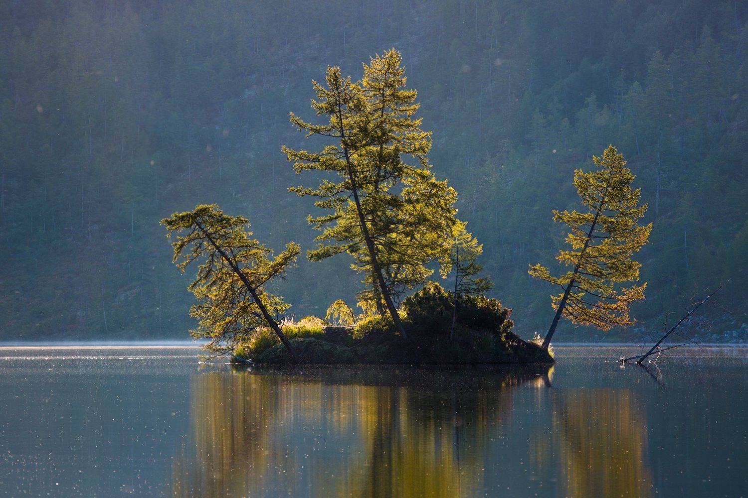 остров, озеро, утро, рассвет, отражение, деревья, колыма, дальний восток, антон селезнев, путешествие, Антон Селезнев