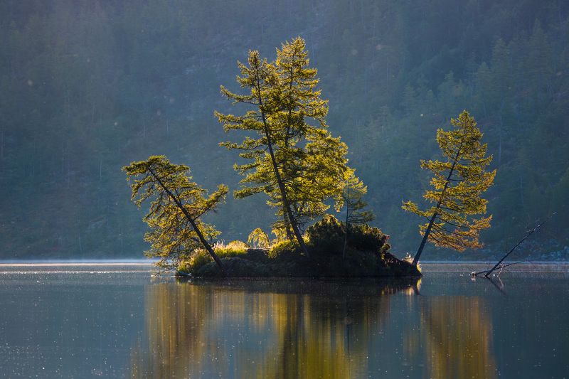 остров, озеро, утро, рассвет, отражение, деревья, колыма, дальний восток, антон селезнев, путешествие Островок в контровом свете фото превью