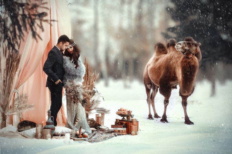 Восточная сказка фото превью