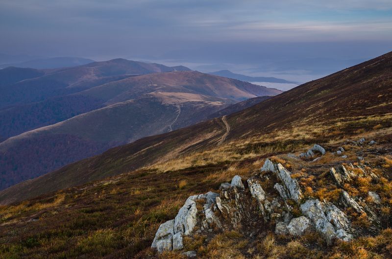 карпаты, боржавский хребет Предрассветная тишина фото превью