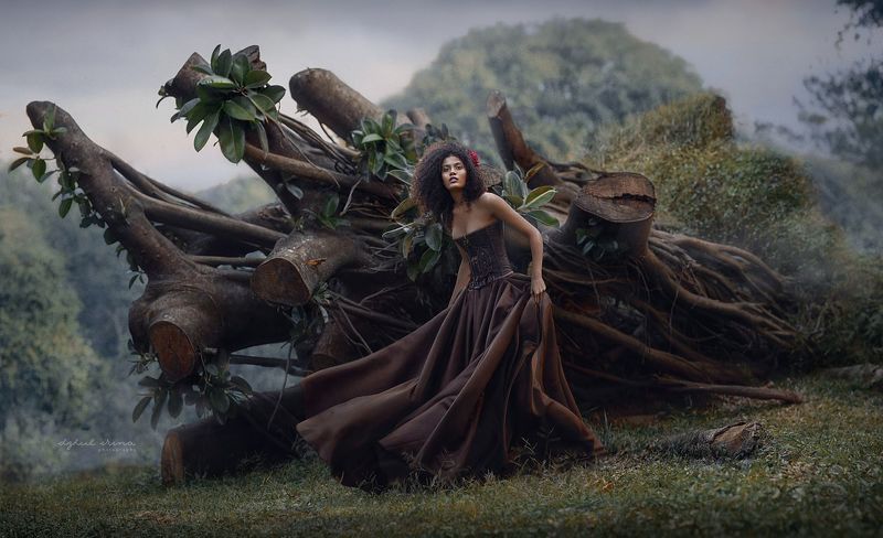 *** фото превью