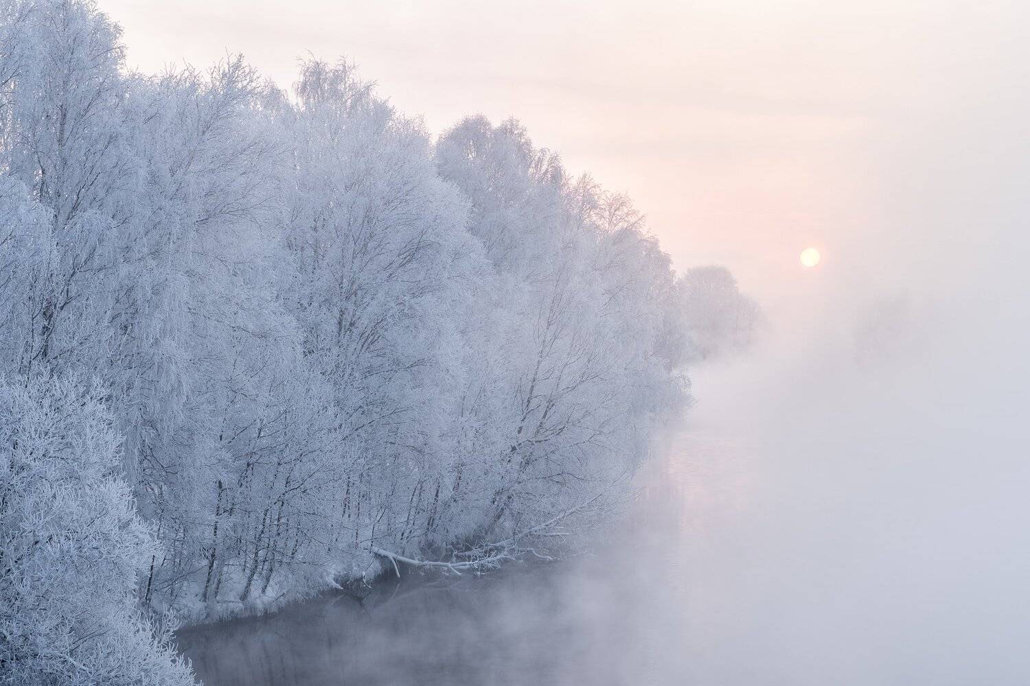 , Михаил Туркеев