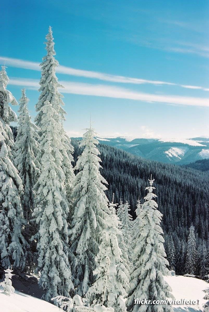 , Виталий Ра