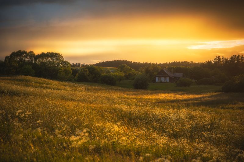 лето,закат,пейзаж,деревня,sunset,latvia Летние вечера фото превью