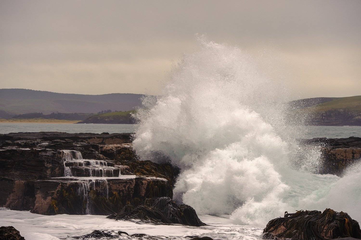 новая зеландия, остров, океан, тихий океан, индийский океан, шторм, море, берег, путешествие, волны, брызги, Оборотов Алексей