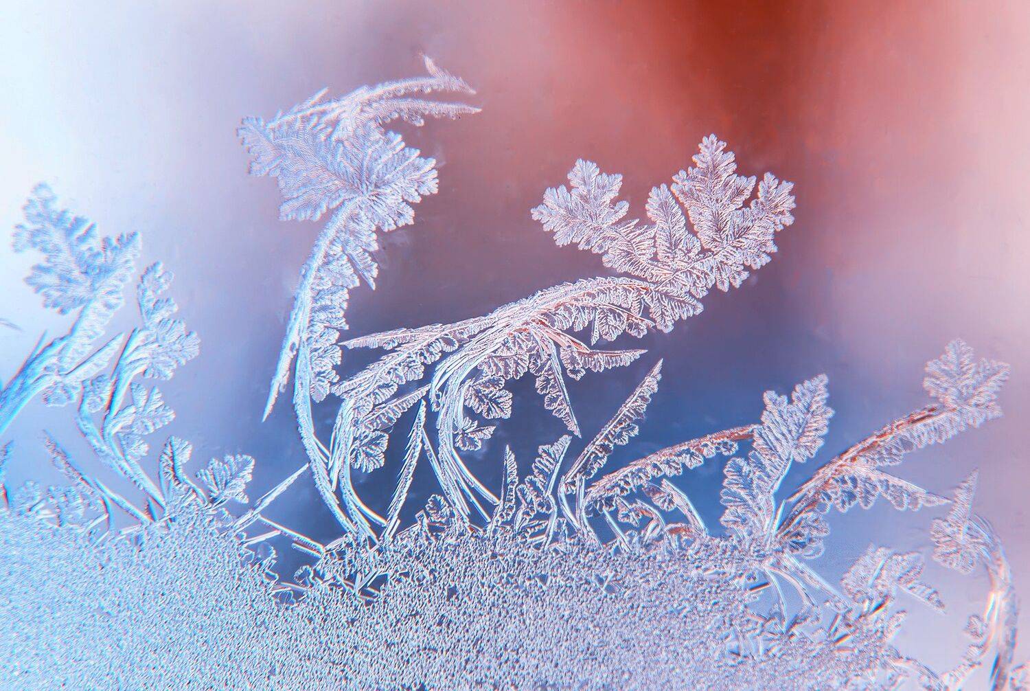 , Павел Сагайдак