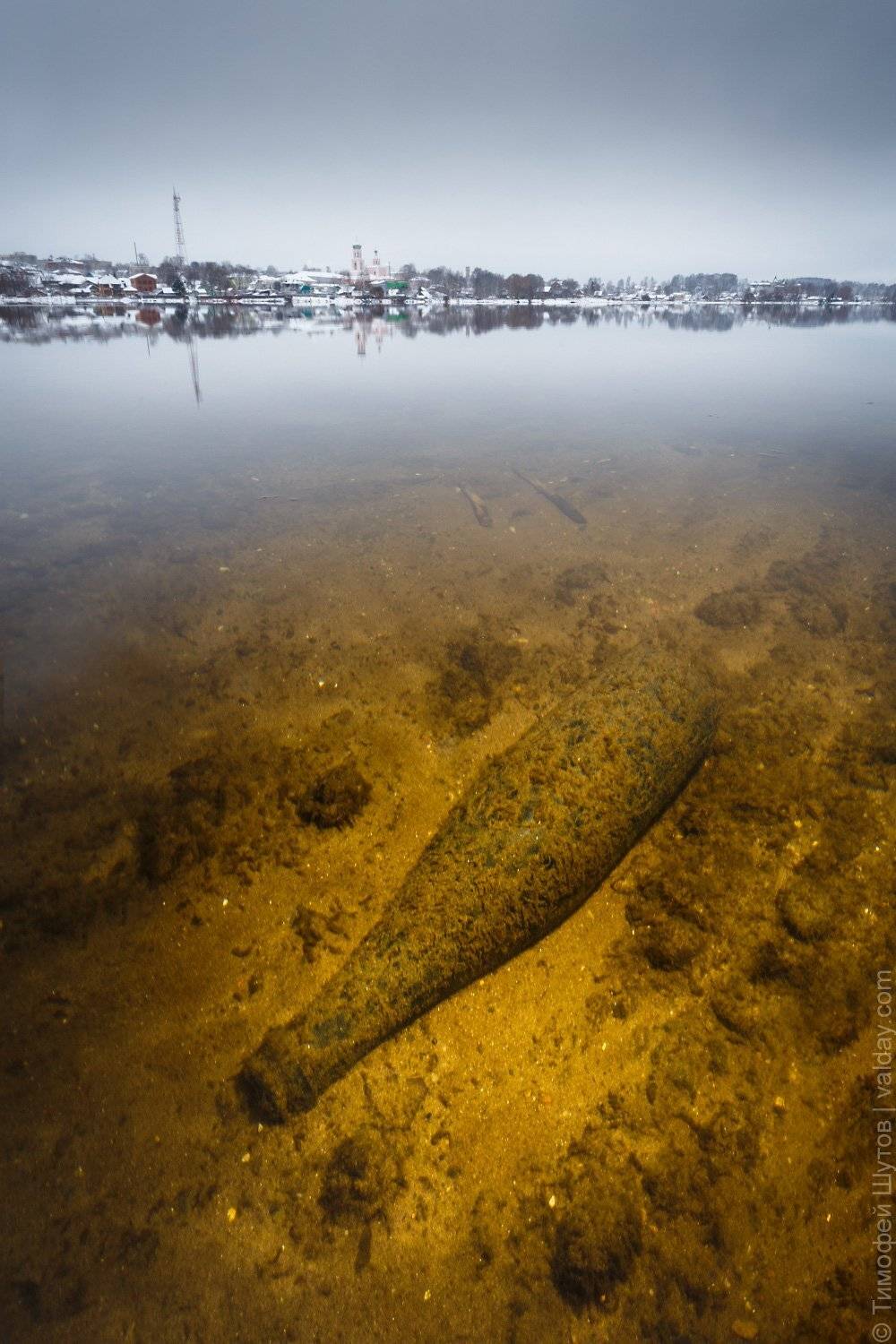 валдай, Тимофей Шутов
