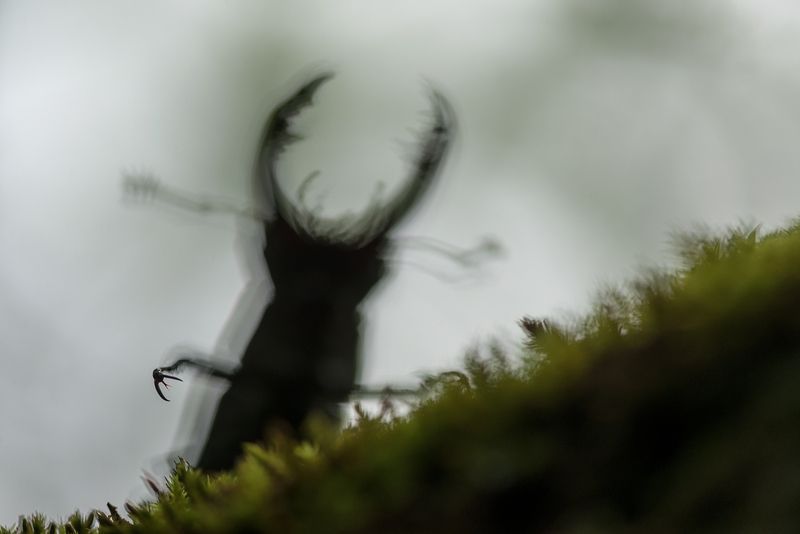 Капитан Крюк фото превью