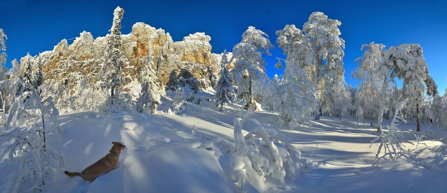 , Клековкин Алексей
