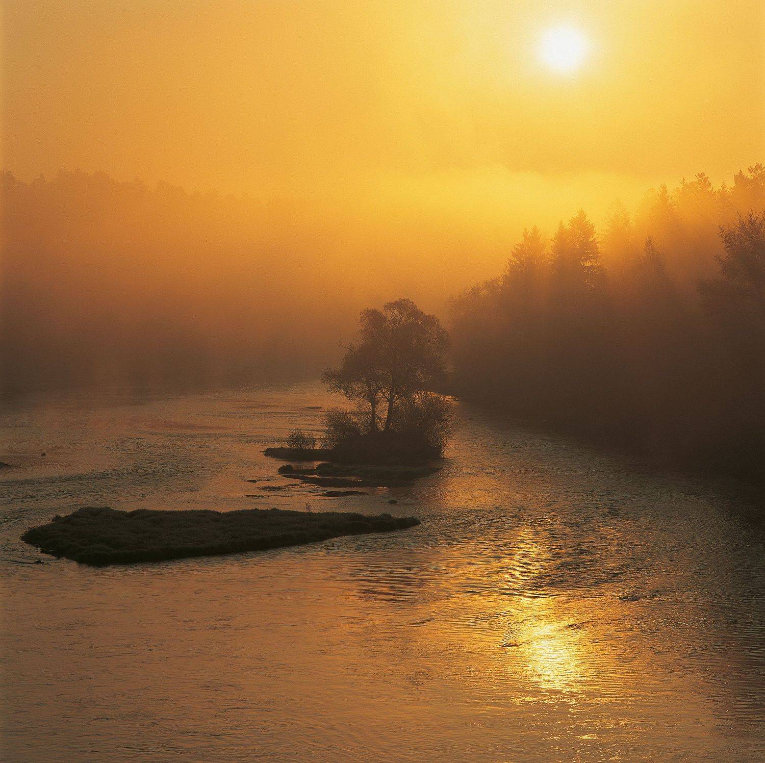 фототуры с Владимиром Рябковым, реки, Москва-река, подмосковье, весна в средней полосе., Владимир Рябков