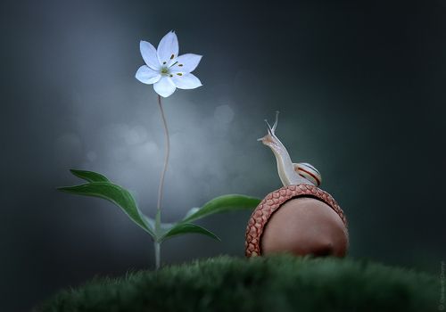 Глубинный зов сердца